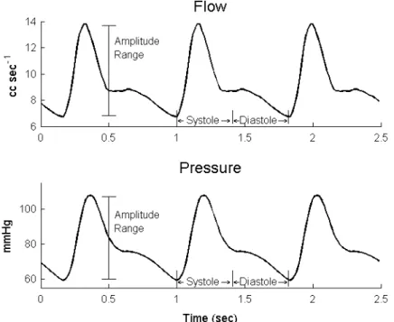 Figure  2:  Typical  Blood  Flow  and  Pressure  Waveforms-  This  figure  shows  the  amplitude  range  of  blood  pressure  and  blood  flow  cycles  (at  rest)