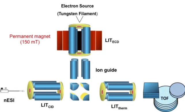 Figure 2.1. Schematic of the NanoFrontier LIT-TOF provided by the Hitachi Corporation  (Hitachi High Technologies)