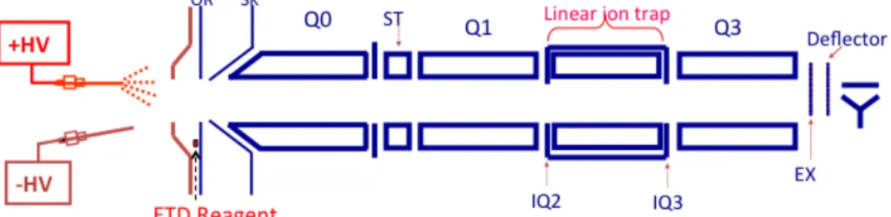 Figure 2.2. Schematic of the triple quadrupole/linear ion trap mass spectrometer (QTRAP,  AB Sciex)