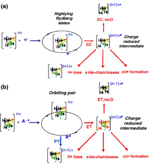 Figure 2.3. Schematic representation of product partitioning in (a) ECD and (b) ETD. 