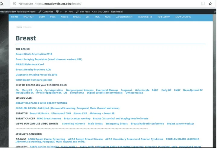 Figure 2.  Radiology medical student website.