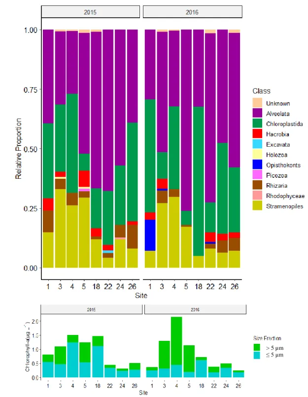Figure 8. Community composition (18S) and biomass. (a) Relative proportions of 
