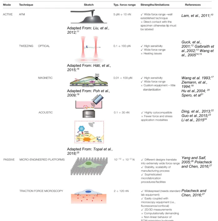 Table 1.1.1. Summary of common techniques for cell mechanical characterization. Table adapted  from Basoli, Francesco, et al., 2018 28 