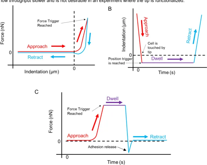 Figure 1.2.2. Some AFM modes of operation: (A) Typical force curve with the approach part of the  curve in red and the retract in blue