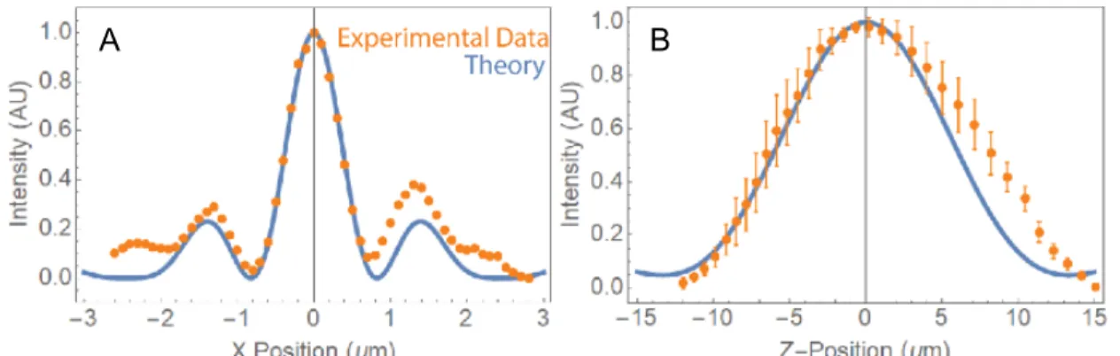 Figure 2.4.3. Profile of LBS. (A) Lateral profile of the LBS. A 100 nm fluorescent bead was stepped  laterally in 100 nm increments by a piezo stage; intensity of the bead was measured in FIJI for each  position