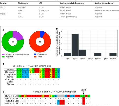 Table 4 Characterization of LTR binding sites critical for 3q12.3 and 11p15.4 promoter activity in tumorigenic cells