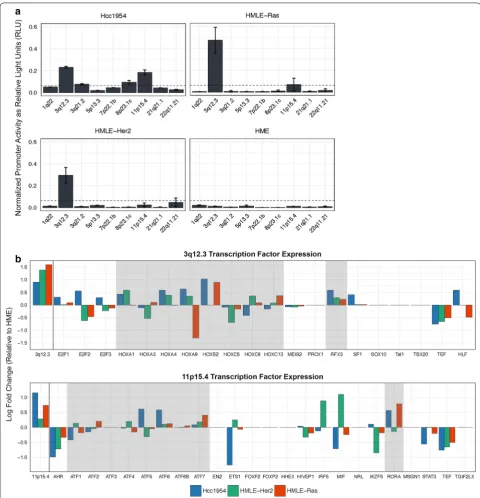 Fig. 3 Identification of transcription factor binding sites critical for tumorigenic HML-2 promoter activity