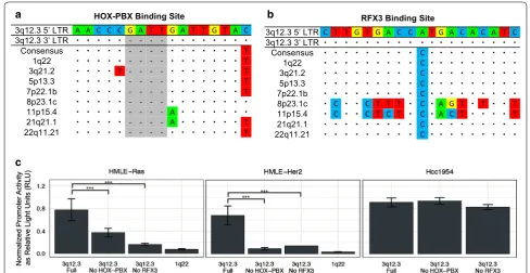 Fig. 4 Back mutation of critical transcription factor binding sites to consensus sequences on the 3q12.3 provirus