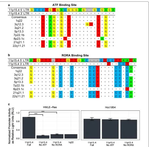 Fig. 5 Back mutation of critical transcription factor binding sites to consensus sequences on the 11p15.4 provirus