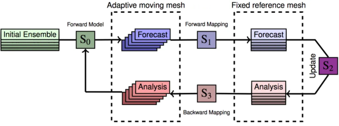 Figure 4.1: Illustration of the analysis cycle in the proposed EnKF method for adaptive moving mesh models