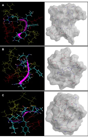 Figure 11 Visualization of geometrical preferences of the insulin molecule in complexation with (A) PLA-PEG14, (B) PLA-PEG22, and (C) PLA-PEG41 after molecular simulations in vacuum.Notes: The peptide molecules are rendered in tube (elements color coded) a