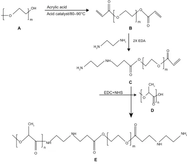 Figure 1 Stepwise synthesis of PLA-PEG copolymer showing (A) PEG, (B) PEGDA, (C) PEGDA amine, (D) activated PLA, and (E) PLA-PEG copolymer.Abbreviations: PEG, poly(ethylene glycol); PLA, polylactic acid; PEGDA, PEG diacrylate.