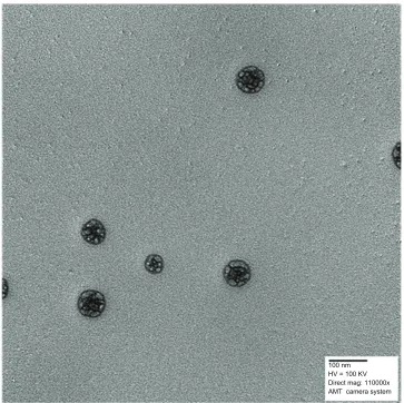 Figure 6 Hypoglycemic effect of PLA-PEG4000 nanoparticles parenteral depot administered to diabetic rabbits (n = 4) at a dose of 25 and 50 IU/kg body weight of insulin.Abbreviations: PEG, poly(ethylene glycol); PLA, polylactic acid.