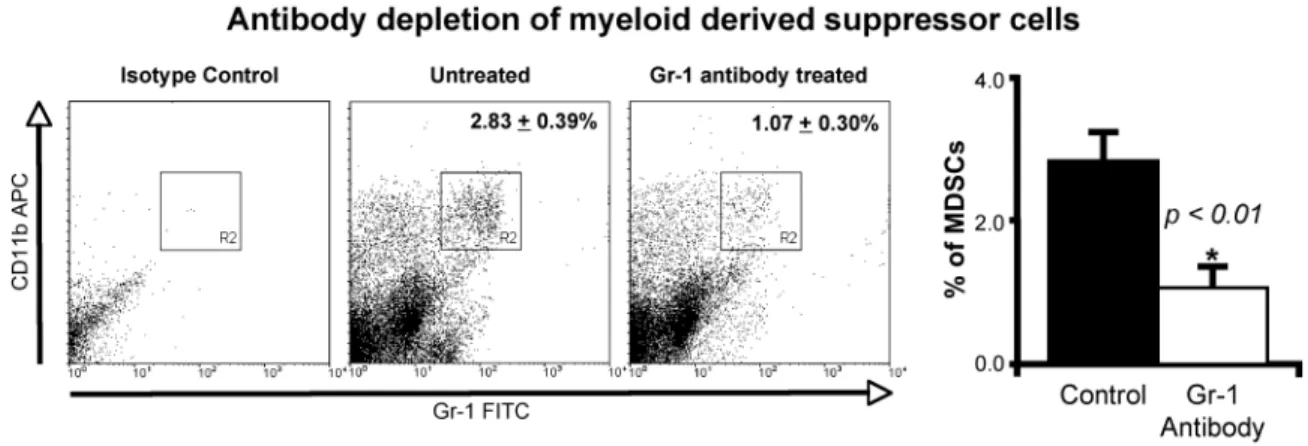 Figure 3-S3.  Depletion of MDSCs with Gr-1 antibody.  Representative dot plots of  splenocytes from WT mice that are either untreated or treated with anti-Gr-1 antibody