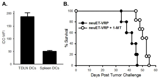 Figure 4-4.  Inhibition of IDO with 1MT improves efficacy of neuET-VRP vaccine in  neu-N mice