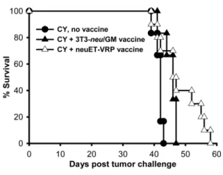 Figure 2-3.  Therapeutic vaccination of neu-N mice with neuET-VRP or 3T3- 3T3-neu/GM vaccine along with CY inhibits tumor growth but does not induce tumor  regression