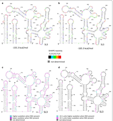 Fig. 5 Structural effects of NSC on the gRNA. The first 411 nts of the gRNA, containing the packaging signal region and beginning of the gag ORF were in vitro transcribed and refolded