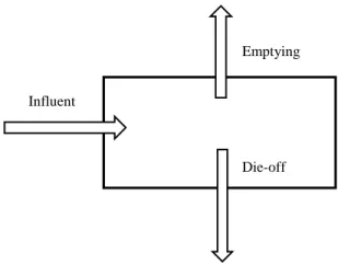 Figure 2: Simplified pathogen balance on pit latrine