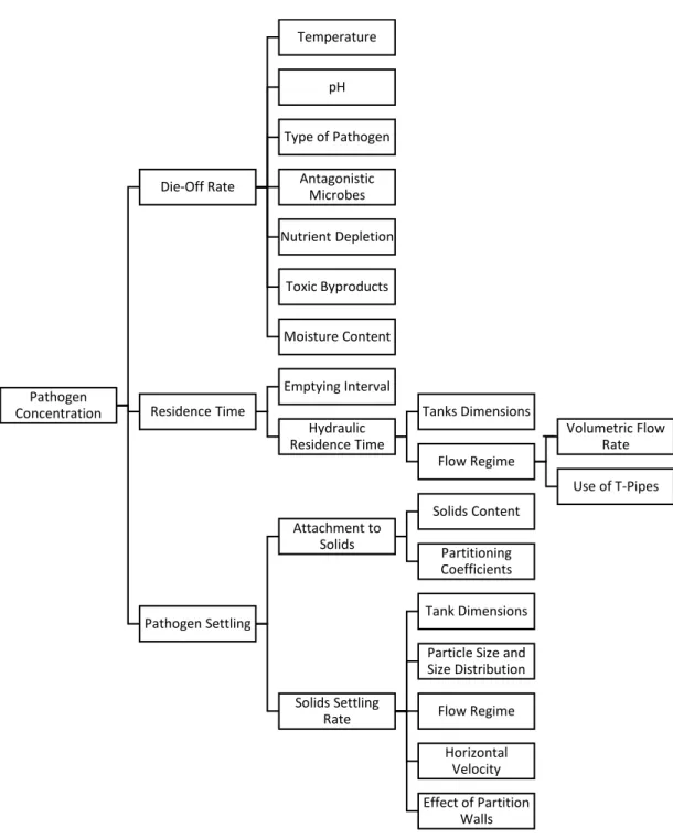 Figure 4: Functional relationships between variables involved in septic tank pathogen  balance 