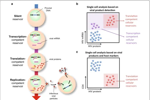 Fig. 1 Defining and identifying HIV reservoirs. a Schematic detailing the naming conventions used to identify different aspects of the HIV reservoir