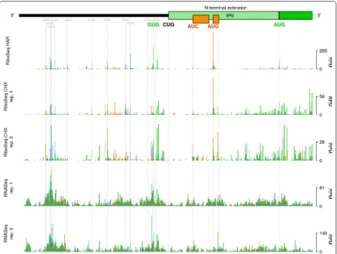 Fig. 2 Coverage of the 5′ region of the MuLV genomic RNA. Histograms show the number of 5′ read ends (with + 12 nt offset) mapped to viral RNA in RiboSeq HAR, RiboSeq CHX and RNASeq libraries generated from Rat2 cell infections, in reads per million (RPM)