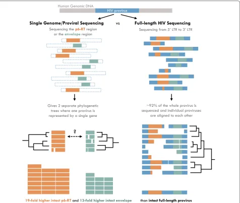 Fig. 1 Single-genome/proviral sequencing overestimates the amount of replication-competent proviruses