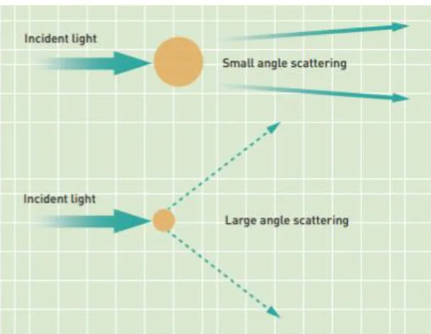 Figure 2.3 illustrates the how scattering angles differ among larger and smaller particles that  pass through the Mastersizer measuring cell