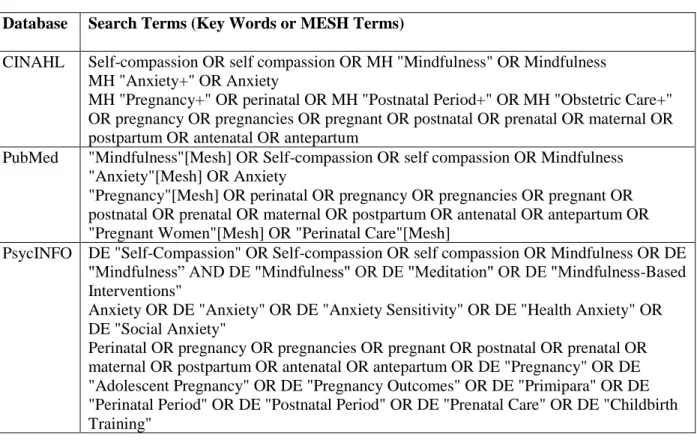 Table 2.1. Search Terms Used For Each Database 