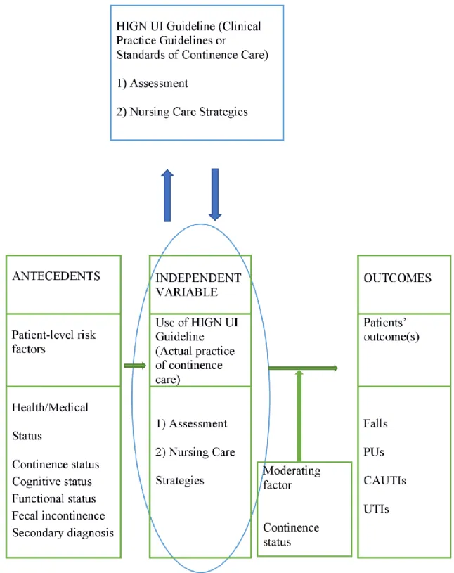 Figure 1. Conceptual model of the use of a UI evidence-based practice for hospitalized older  women