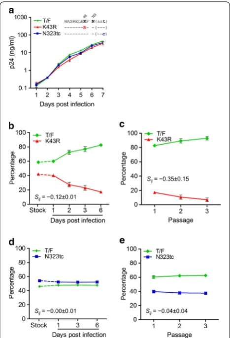 Fig. 5 Fitness cost of the K43R mutation. fitness costs of the K43R mutant (determined by measuring the proportions of both compared viruses in the same cell culture using the competitive PASS fitness assay