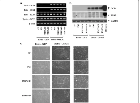 Fig. 4 Generation of iPS cell with retroviral GFP and OSKM transduction. a Gene expression in the CP, FM, FM3%4D, and FM8%4D groups by RT-PCR at day 7