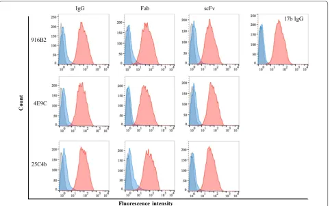 Fig. 4 Binding enhancement of mAbs and their fragments to Env in the presence of sCD4
