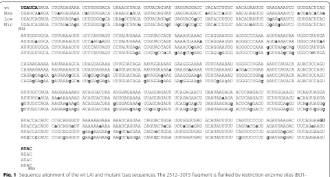 Fig. 1 Sequence alignment of the wt LAI and mutant Gag sequences. The 2512–3015 fragment is flanked by restriction enzyme sites (Bcl1-Bst1107I) that are marked in bold