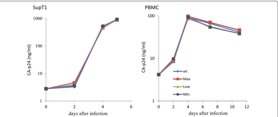 Fig. 5 Virus replication on SupT1 T cells and primary T cells. Cells were infected with a standard amount of the wt or mutant viruses (equivalent of 2.5 ng CA-p24 for SupT1 cells and 5 ng CA-p24 for PBMCs)
