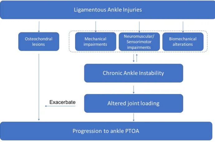 Figure 2.1. The plausible pathway from ankle sprain to ankle post-traumatic osteoarthritis