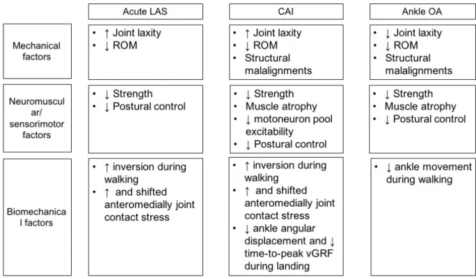 Figure 2.2. Summary of factors influencing ankle joint loading in those with lateral ankle sprain,  chronic ankle instability, and ankle osteoarthritis