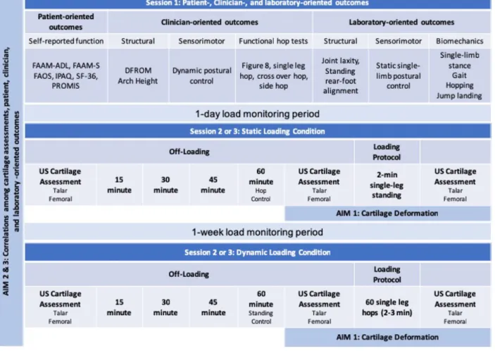 Figure 3.1. Overall study design diagram.   