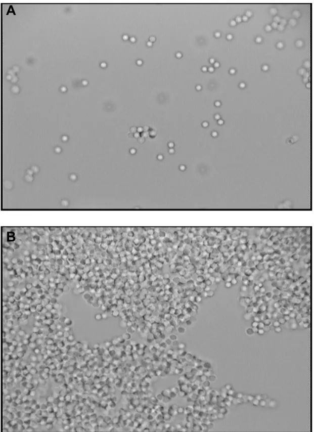 Figure 2.3 Images of 2.7 um Halo particles in methanol at varying concentrations captured by  in-solution microscopy