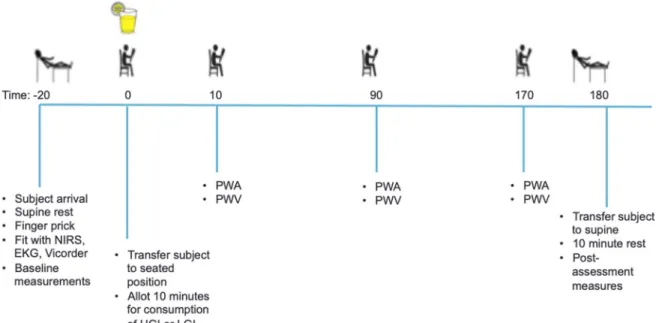 Figure 2. Protocol timeline for experimental measures 
