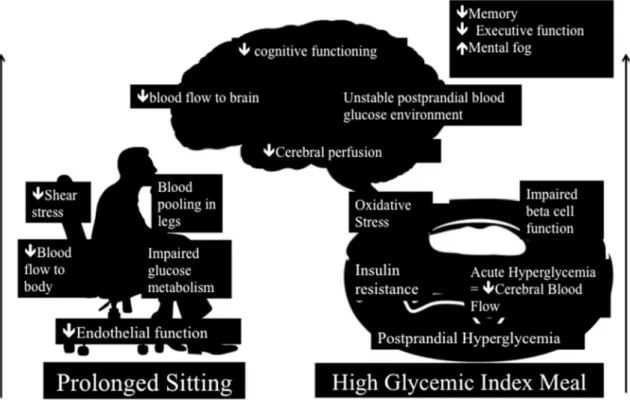 Figure 1. Acute Effect of Prolonged Sitting and a High Glycemic Index Meal on Cognitive  Function 