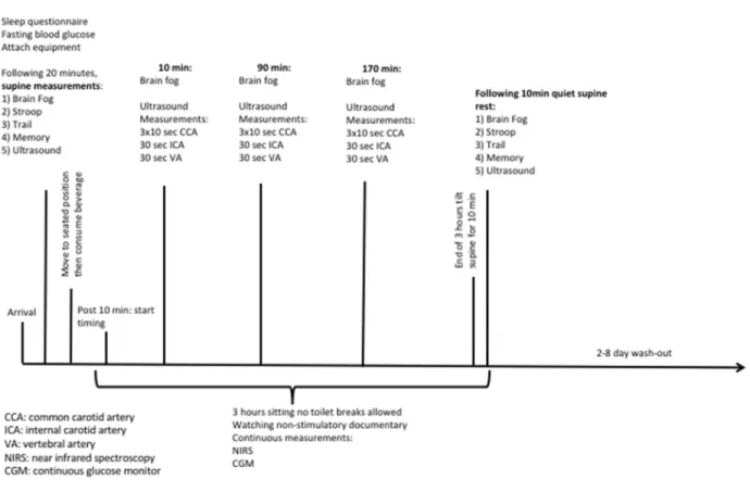 Figure 2. Experimental Day Timeline for Cerebrovascular/Cognitive Measurements  Experimental Measures 