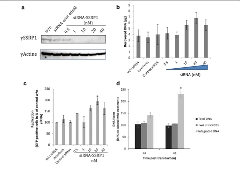 Fig. 7 Effect of FACT knock down on early steps of HIV‑1 derived lentiviral vectors in HEK293T cells