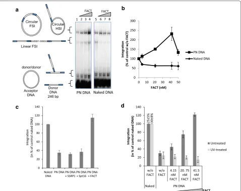 Fig. 2 Effect of FACT complex on in vitro HIV‑1 integration. A concerted integration assay was performed using 200 nM of HIV‑1 IN, 10 ng of donor file DNA, 50 ng of p5S naked or chromatinized plasmid DNA (PN DNA), and increasing concentrations of FACT comp