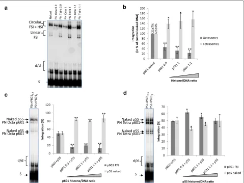Fig. 4 Integration catalyzed by HIV‑1 integrase onto dissociated nucleosomes in vitro