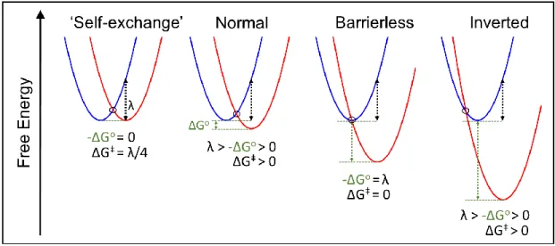 Figure 1.2. Four primary types of electron transfer reactions categorized by relationship  between ΔG o  and λ, except for self-exchange