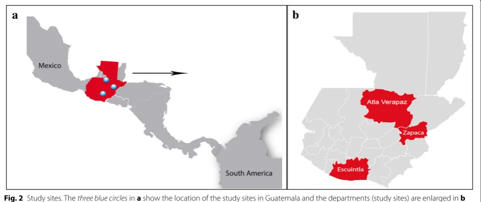 Fig. 3 Map of study sentinel sites and malaria prevalences in 2015 per department. Guatemalan MOH surveillance data used