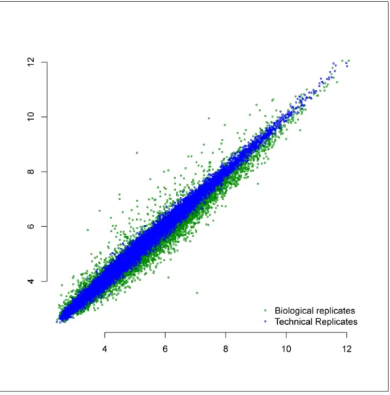 Figure 3.1: Effect of measurement error is illustrated through a scatter plot. Each point represents a gene, X and Y axes are gene expression levels measured by microarray