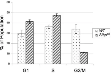 Figure 2. 5 FACS analysis of wt and Slbp 15  mutant wing discs.  Each bar represents the mean of three  independent experiments where over 4,000 cells were analyzed per genotype