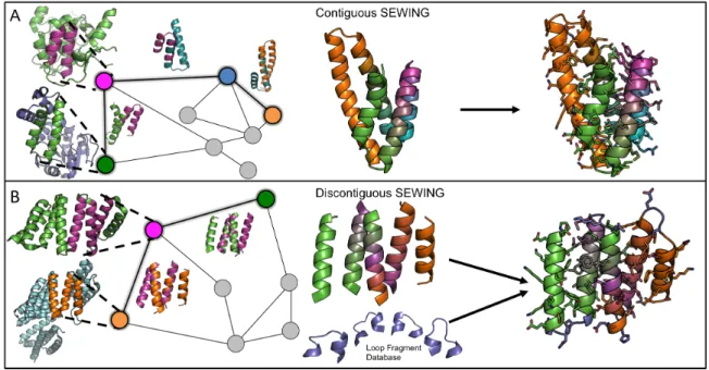 Figure 2.1: Overview of the SEWING method. (A) Contiguous SEWING workflow for CA01.