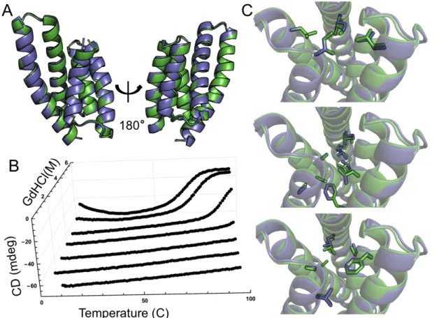Figure 2.3: Structural and biophysical analysis of contiguous design CA01. (A) Backbone superimposition of CA01 design model (green) and crystal structure (blue)